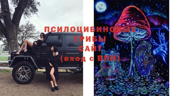 прущая мука Ладушкин